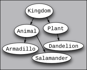 Class Hierarchy