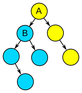 Binary Tree