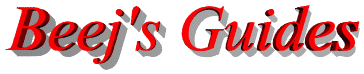 Beej's Guides